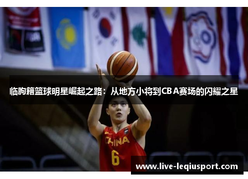 临朐籍篮球明星崛起之路：从地方小将到CBA赛场的闪耀之星