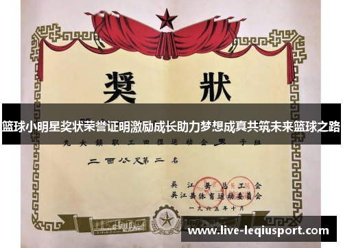 篮球小明星奖状荣誉证明激励成长助力梦想成真共筑未来篮球之路