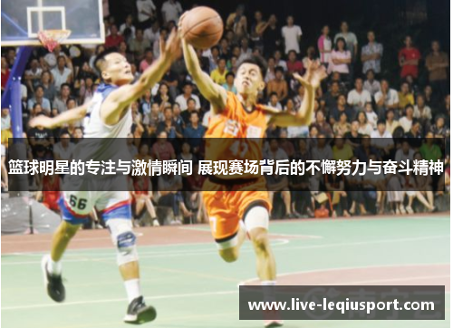 篮球明星的专注与激情瞬间 展现赛场背后的不懈努力与奋斗精神