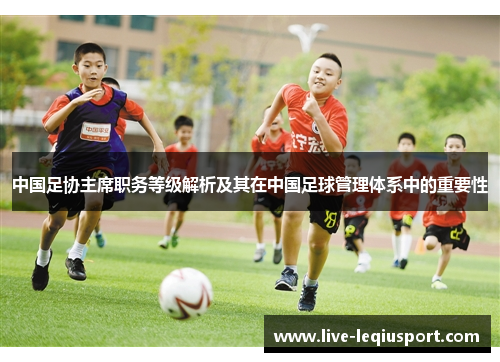 中国足协主席职务等级解析及其在中国足球管理体系中的重要性