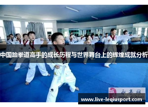 中国跆拳道高手的成长历程与世界舞台上的辉煌成就分析