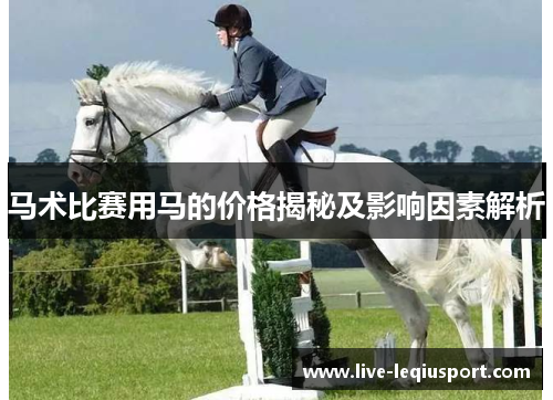 马术比赛用马的价格揭秘及影响因素解析